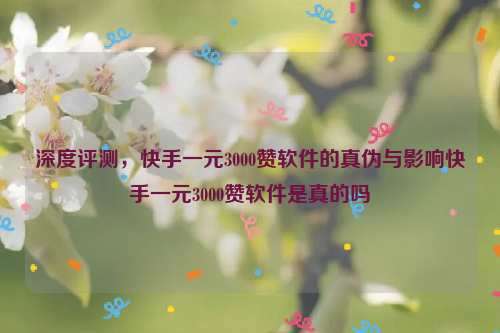 深度评测，快手一元3000赞软件的真伪与影响快手一元3000赞软件是真的吗