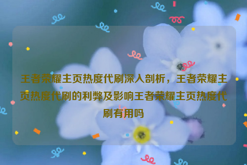 王者荣耀主页热度代刷深入剖析，王者荣耀主页热度代刷的利弊及影响王者荣耀主页热度代刷有用吗