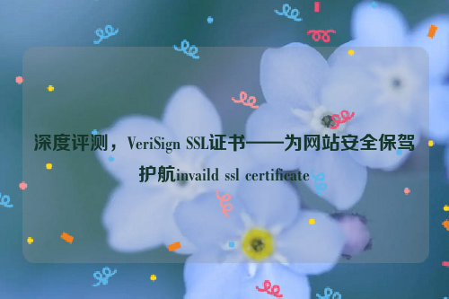 深度评测，VeriSign SSL证书——为网站安全保驾护航invaild ssl certificate