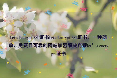 Let's Encrypt SSL证书Lets Encrypt SSL证书，一种简单、免费且可靠的网站加密解决方案let’s encrypt 证书