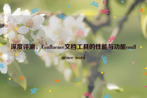 深度评测，Confluence文档工具的性能与功能confluence word