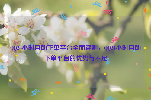 QQ24小时自助下单平台全面评测，QQ24小时自助下单平台的优势与不足