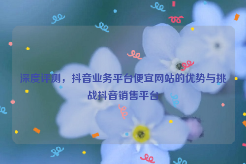 深度评测，抖音业务平台便宜网站的优势与挑战抖音销售平台