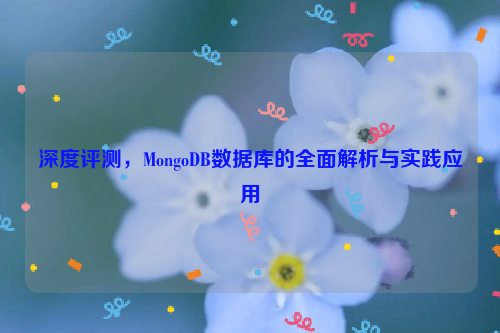 深度评测，MongoDB数据库的全面解析与实践应用