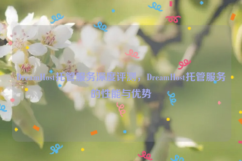 DreamHost托管服务深度评测，DreamHost托管服务的性能与优势