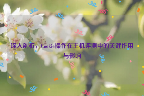 深入剖析，Cookie操作在主机评测中的关键作用与影响