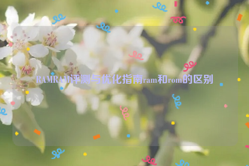 RAMRAM评测与优化指南ram和rom的区别