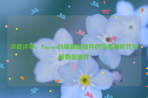 深度评测，Pugient码编辑器插件的全面解析代码编辑器插件