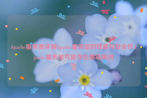 Apache服务器评测Apache服务器的性能与安全性Apache服务器可能存在哪项漏洞