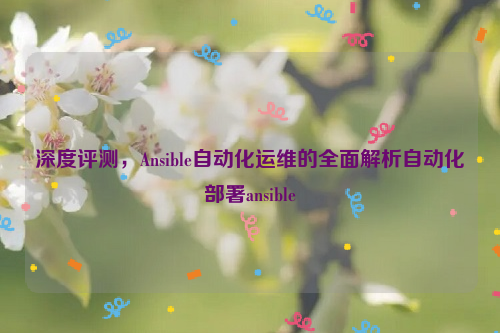 深度评测，Ansible自动化运维的全面解析自动化部署ansible