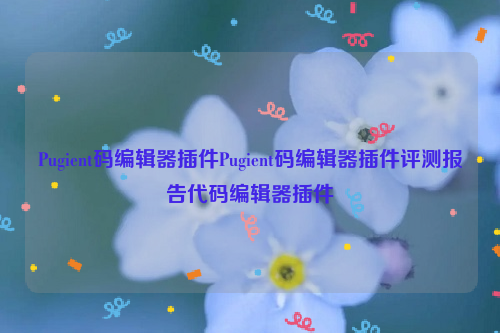 Pugient码编辑器插件Pugient码编辑器插件评测报告代码编辑器插件