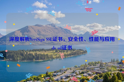 深度解析VeriSign SSL证书，安全性、性能与应用dv ssl证书