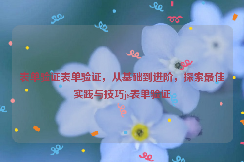 表单验证表单验证，从基础到进阶，探索最佳实践与技巧js表单验证