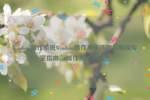 Windows操作系统Windows操作系统评测与编程专家指南win操作系统有哪些