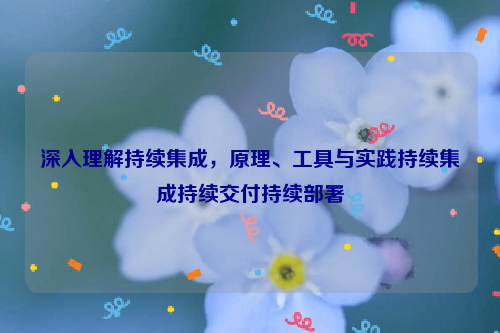 深入理解持续集成，原理、工具与实践持续集成持续交付持续部署