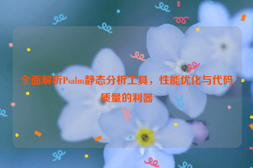 全面解析Psalm静态分析工具，性能优化与代码质量的利器