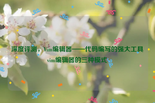 深度评测，Vim编辑器——代码编写的强大工具vim编辑器的三种模式