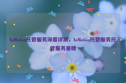 InMotion托管服务深度评测，InMotion托管服务托管服务是啥