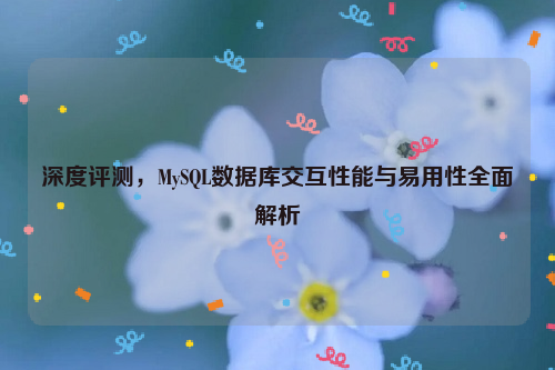 深度评测，MySQL数据库交互性能与易用性全面解析