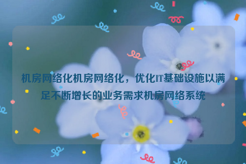 机房网络化机房网络化，优化IT基础设施以满足不断增长的业务需求机房网络系统