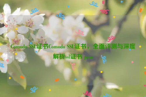 Comodo SSL证书Comodo SSL证书，全面评测与深度解析ssl证书 pem