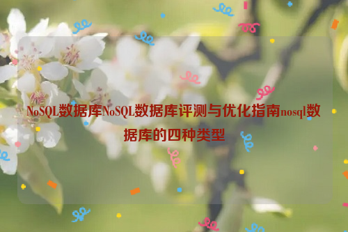 NoSQL数据库NoSQL数据库评测与优化指南nosql数据库的四种类型