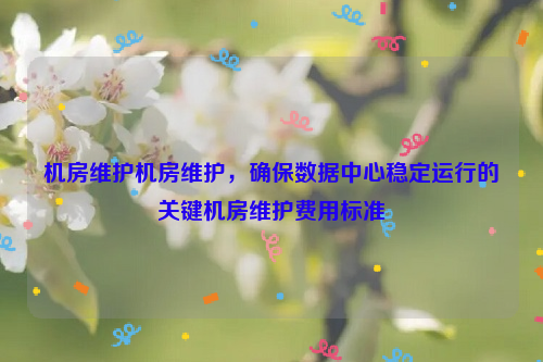 机房维护机房维护，确保数据中心稳定运行的关键机房维护费用标准