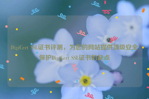 DigiCert SSL证书评测，为您的网站提供顶级安全保护DigiCert SSL证书的缺点