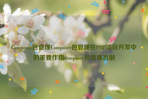 Composer包管理Composer包管理在PHP项目开发中的重要作用composer包管理机制