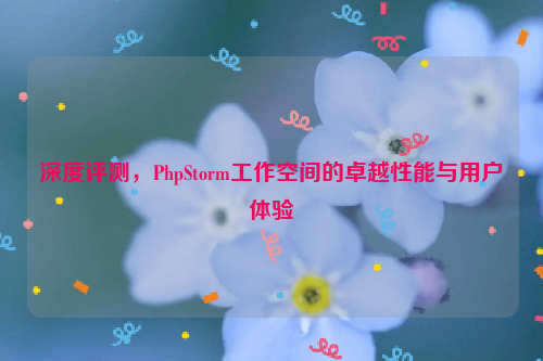 深度评测，PhpStorm工作空间的卓越性能与用户体验