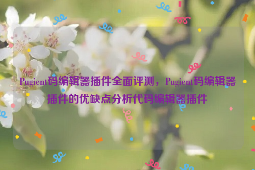 Pugient码编辑器插件全面评测，Pugient码编辑器插件的优缺点分析代码编辑器插件