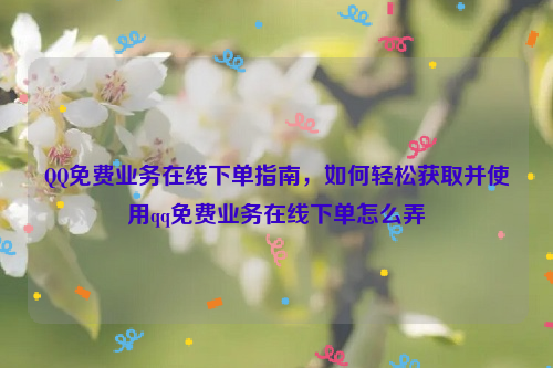 QQ免费业务在线下单指南，如何轻松获取并使用qq免费业务在线下单怎么弄