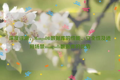 深度评测，MongoDB数据库的性能、安全性及适用场景mongodb数据库的优势