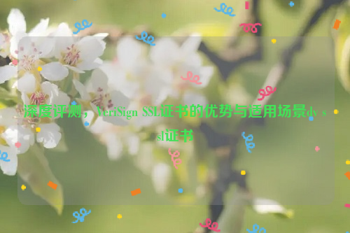 深度评测，VeriSign SSL证书的优势与适用场景dv ssl证书