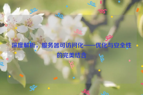 深度解析，服务器可访问化——优化与安全性的完美结合