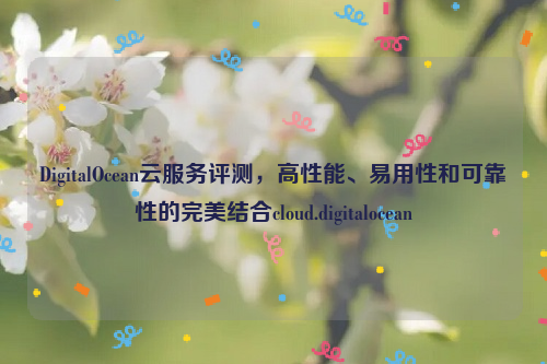 DigitalOcean云服务评测，高性能、易用性和可靠性的完美结合cloud.digitalocean