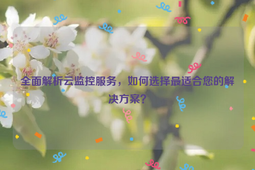 全面解析云监控服务，如何选择最适合您的解决方案？