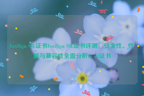 VeriSign SSL证书VeriSign SSL证书评测，安全性、性能与兼容性全面分析dv ssl证书