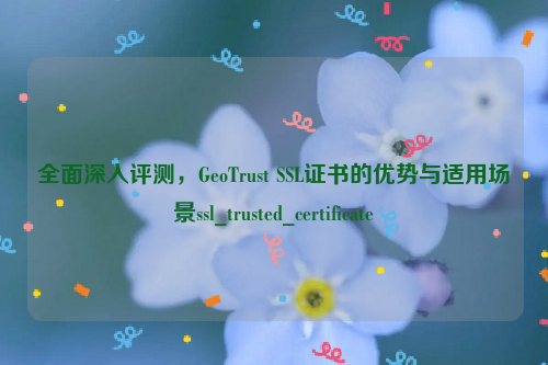 全面深入评测，GeoTrust SSL证书的优势与适用场景ssl_trusted_certificate