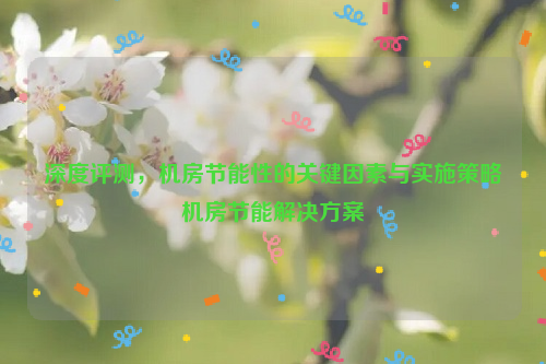 深度评测，机房节能性的关键因素与实施策略机房节能解决方案