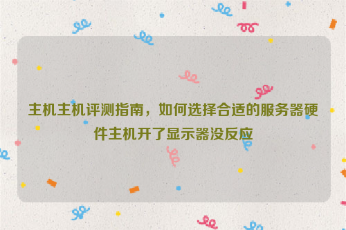 主机主机评测指南，如何选择合适的服务器硬件主机开了显示器没反应