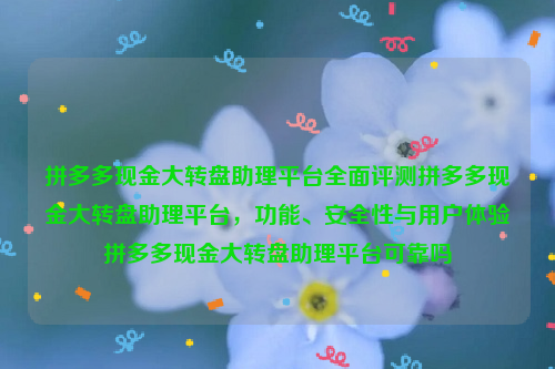 拼多多现金大转盘助理平台全面评测拼多多现金大转盘助理平台，功能、安全性与用户体验拼多多现金大转盘助理平台可靠吗