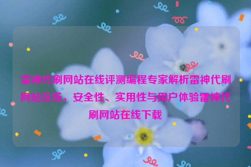 雷神代刷网站在线评测编程专家解析雷神代刷网站在线，安全性、实用性与用户体验雷神代刷网站在线下载