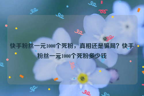 快手粉丝一元1000个死粉，真相还是骗局？快手粉丝一元1000个死粉多少钱