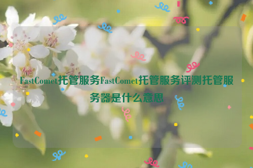 FastComet托管服务FastComet托管服务评测托管服务器是什么意思