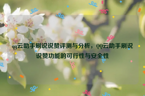 qq云助手刷说说赞评测与分析，QQ云助手刷说说赞功能的可行性与安全性