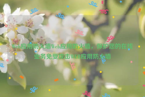 Web应用防火墙Web应用防火墙，保护您的在线业务免受攻击WEB应用防火墙