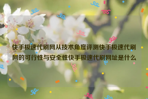 快手极速代刷网从技术角度评测快手极速代刷网的可行性与安全性快手极速代刷网址是什么