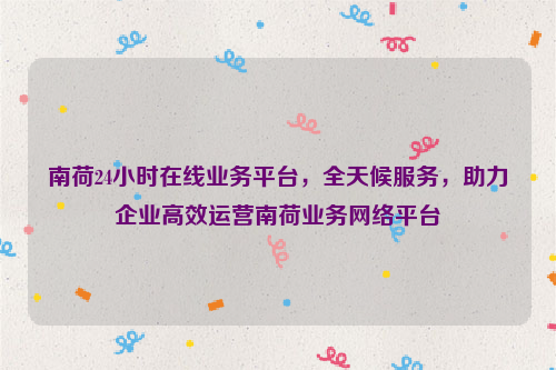 南荷24小时在线业务平台，全天候服务，助力企业高效运营南荷业务网络平台