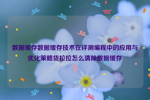 数据缓存数据缓存技术在评测编程中的应用与优化策略货拉拉怎么清除数据缓存